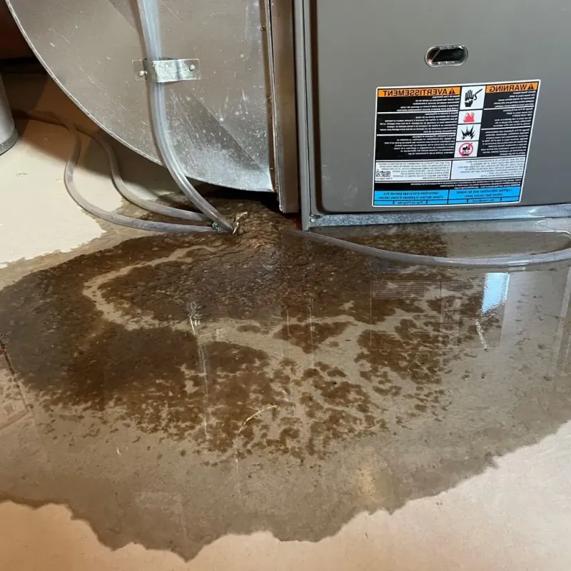 Pipe Burst and Leak Restoration in Union County, PA