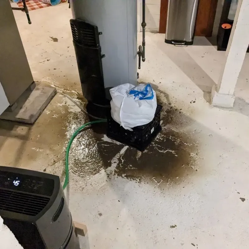 Sewage Backup Cleanup Service in Union County, PA